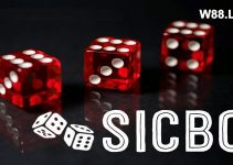 Sicbo là gì? Hướng dẫn chơi Tài Xỉu Sicbo online đơn giản tại W88